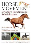 Lómozgás: Structure, Function and Rehabilitation - Horse Movement: Structure, Function and Rehabilitation