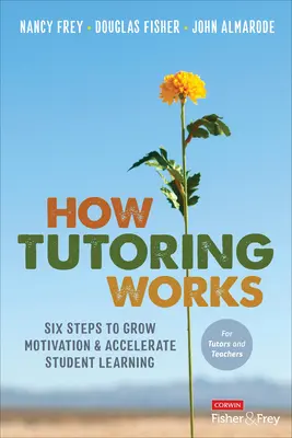 Hogyan működik a korrepetálás: Hat lépés a motiváció növeléséhez és a tanulói tanulás felgyorsításához - How Tutoring Works: Six Steps to Grow Motivation and Accelerate Student Learning