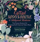 Cattail Moonshine & Milkweed Medicine: 43 csodálatos észak-amerikai őshonos növény különös történetei - Cattail Moonshine & Milkweed Medicine: The Curious Stories of 43 Amazing North American Native Plants