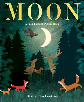 Hold: A Peek-Through Picture Book - Moon: A Peek-Through Picture Book