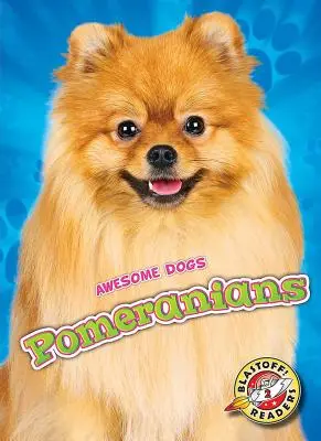 Pomerániaiak - Pomeranians