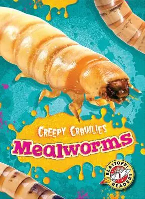 Lisztkukacok - Mealworms