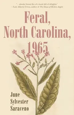 Feral, Észak-Karolina, 1965 - Feral, North Carolina, 1965