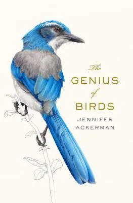 A madarak géniusza - The Genius of Birds