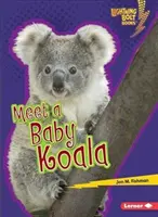 Ismerj meg egy koalabébit - Meet a Baby Koala