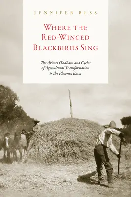 Ahol a vörös szárnyú feketerigók énekelnek: Az Akimel O'Odham és a mezőgazdasági átalakulás ciklusai a Phoenix-medencében - Where the Red-Winged Blackbirds Sing: The Akimel O'Odham and Cycles of Agricultural Transformation in the Phoenix Basin