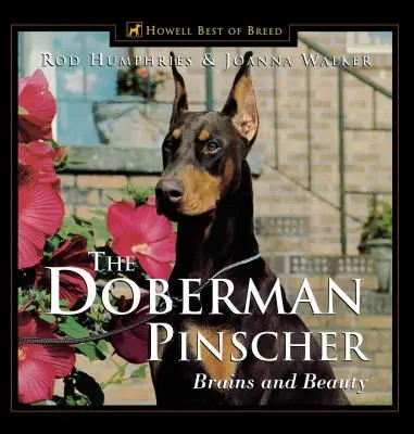 A dobermannpinscher: Agy és szépség - The Doberman Pinscher: Brains and Beauty