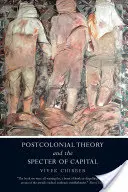 A posztkoloniális elmélet és a tőke kísértete - Postcolonial Theory and the Specter of Capital