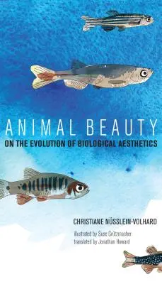 Állati szépség: A biológiai esztétika fejlődéséről - Animal Beauty: On the Evolution of Biological Aesthetics