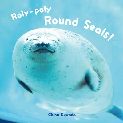 Roly-Poly kerek fókák! - Roly-Poly Round Seals!