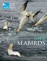 Rspb Tengeri madarak - Rspb Seabirds