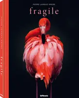 Törékeny - Fragile