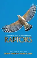 Az észak-amerikai ragadozó madarak fényképes útmutatója - A Photographic Guide to North American Raptors