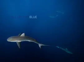 Call of the Blue