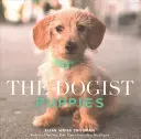 A kutyás kiskutyák - The Dogist Puppies