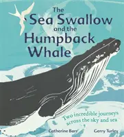 A tengeri fecske és a púpos bálna - Két hihetetlen utazás égen és tengeren át - Sea Swallow and the Humpback Whale - Two Incredible Journeys Across the Sky and Sea