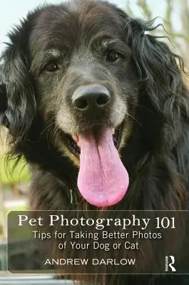 Állatfotózás 101: Tippek a jobb fotók készítéséhez a kutyáról vagy macskáról - Pet Photography 101: Tips for Taking Better Photos of Your Dog or Cat