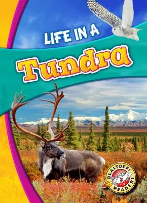 Élet a tundrán - Life in a Tundra