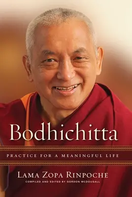 Bodhichitta: Bichittaha: Gyakorlat az értelmes életért - Bodhichitta: Practice for a Meaningful Life