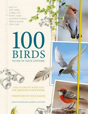 100 madár, amit életedben látni fogsz: A végső kívánságlista a madarászok számára mindenütt - 100 Birds to See in Your Lifetime: The Ultimate Wish-List for Birders Everywhere