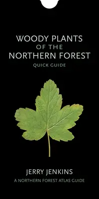 Az északi erdők fásszárú növényei: Gyors útmutató - Woody Plants of the Northern Forest: Quick Guide