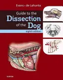 Útmutató a kutya boncolásához - Guide to the Dissection of the Dog