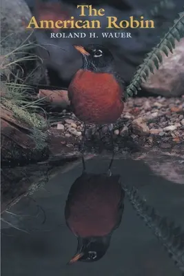 Az amerikai vörösbegy - The American Robin