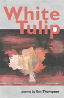 Fehér tulipán - White Tulip