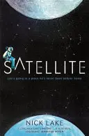 Satellite