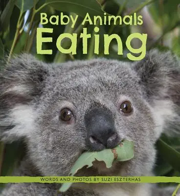 Baby állatok evés - Baby Animals Eating