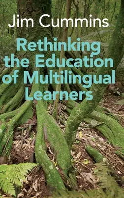 A többnyelvű tanulók oktatásának újragondolása: Az elméleti koncepciók kritikai elemzése - Rethinking the Education of Multilingual Learners: A Critical Analysis of Theoretical Concepts