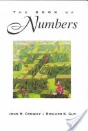 A számok könyve - The Book of Numbers