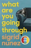 Amin keresztülmész - 'Egy teljes öröm - és hangos nevetés' DEBORAH MOGGACH - What Are You Going Through - 'A total joy - and laugh-out-loud funny' DEBORAH MOGGACH