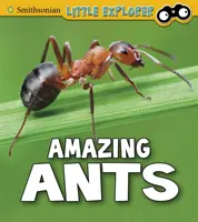 Csodálatos hangyák - Amazing Ants