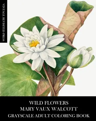 Vadvirágok: Mary Vaux Walcott szürkeárnyalatos felnőtt színezőkönyv - Wild Flowers: Mary Vaux Walcott Grayscale Adult Coloring Book