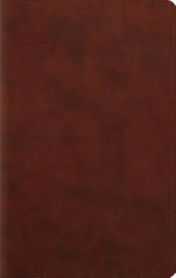 Nagyméretű nyomtatott Biblia-ESV - Large Print Personal Size Bible-ESV