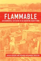 Gyúlékony: Környezeti szenvedés egy argentin nyomornegyedben - Flammable: Environmental Suffering in an Argentine Shantytown