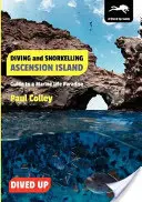 Búvárkodás és búvárkodás Ascension-szigeten: Útikalauz a tengeri élővilág paradicsomához - Diving and Snorkelling Ascension Island: Guide to a Marine Life Paradise