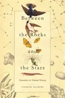 A sziklák és a csillagok között: Narratívák a természettudományban - Between the Rocks and the Stars: Narratives in Natural History