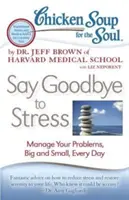 Csirkeleves a léleknek: Búcsúzzon el a stressztől: Minden nap kezeld a kisebb és nagyobb problémáidat. - Chicken Soup for the Soul: Say Goodbye to Stress: Manage Your Problems, Big and Small, Every Day