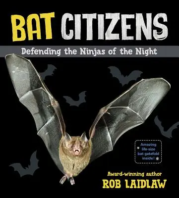 Denevérpolgárok: Az éjszaka nindzsáinak védelme - Bat Citizens: Defending the Ninjas of the Night