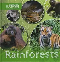 Esőerdők - Rainforests