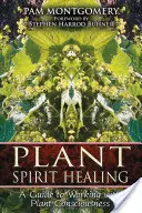 Plant Spirit Healing: A Guide to Working with Plant Consciousness