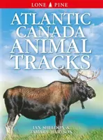 Atlanti Kanada Állatnyomok - Atlantic Canada Animal Tracks