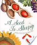 A Seed Is Sleepy