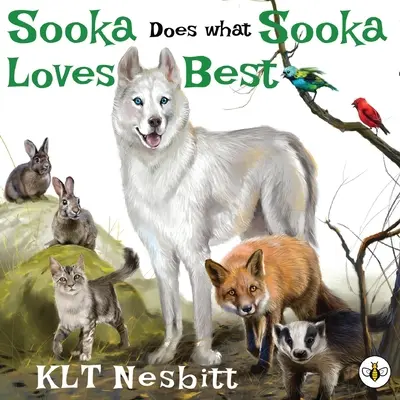 Sooka azt teszi, amit Sooka a legjobban szeret - Sooka Does What Sooka Loves Best