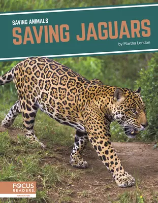 Jaguárok megmentése - Saving Jaguars