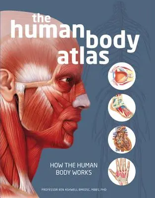 Az emberi test atlasza: Hogyan működik az emberi test - The Human Body Atlas: How the Human Body Works