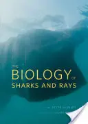 A cápák és ráják biológiája - The Biology of Sharks and Rays