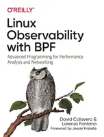 Linux megfigyelhetőség a Bpf: Teljesítményelemzés és hálózatépítés haladó programozása - Linux Observability with Bpf: Advanced Programming for Performance Analysis and Networking